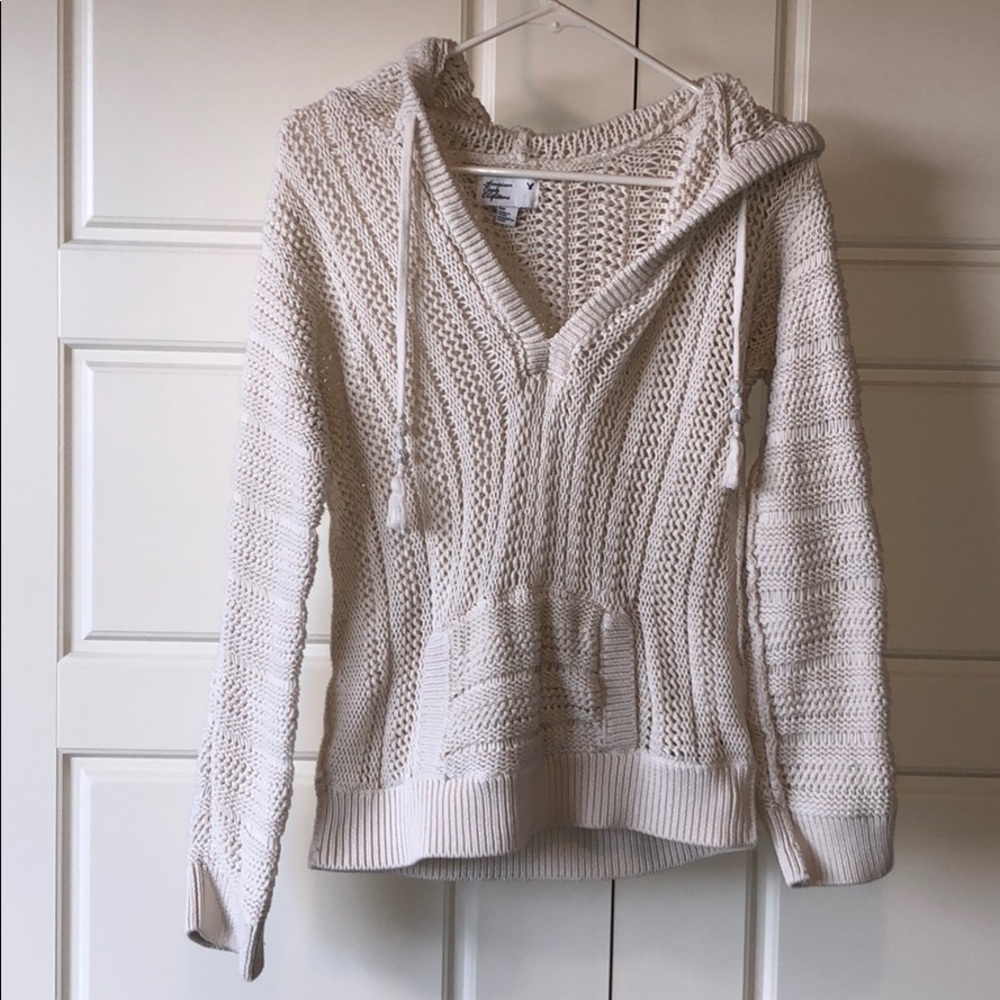 Chunky hooded sweater from American Eagle Small
